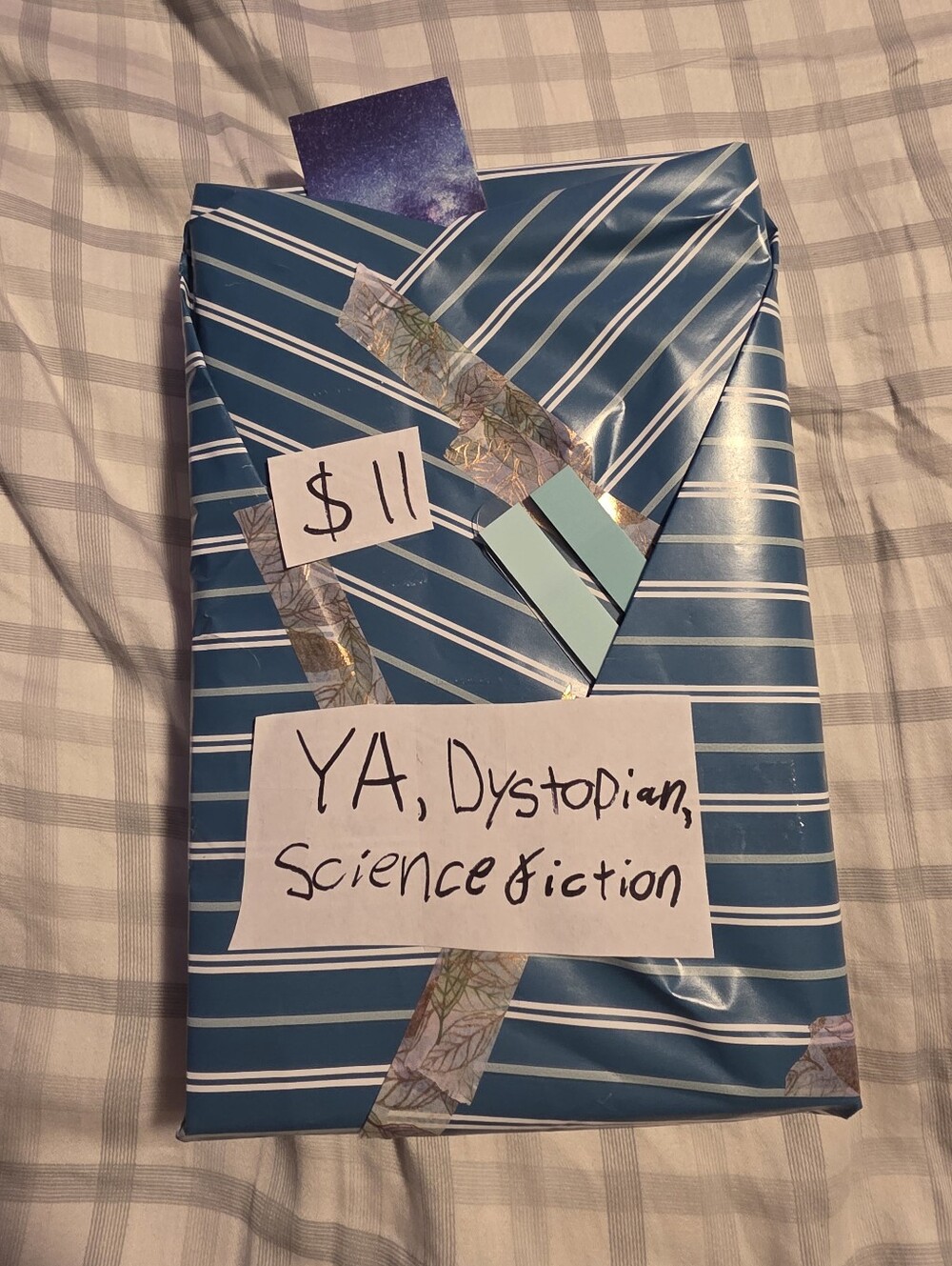 Blind Date With A Book